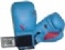 Boxing Equipment - Training Gloves